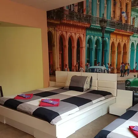 Albatross Apartmán
